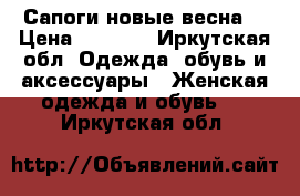 Сапоги новые весна  › Цена ­ 3 000 - Иркутская обл. Одежда, обувь и аксессуары » Женская одежда и обувь   . Иркутская обл.